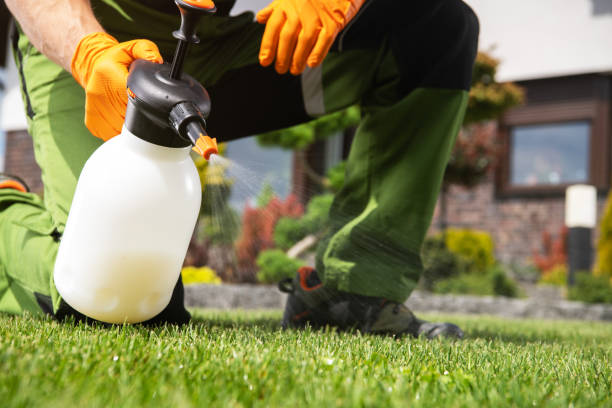 Best Pest Control Near Me  in Mercer Island, WA