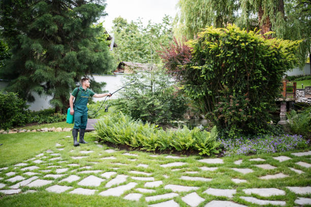Wasp Removal Services in Mercer Island, WA