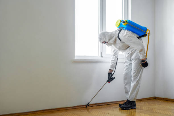 Best Residential Pest Control  in Mercer Island, WA