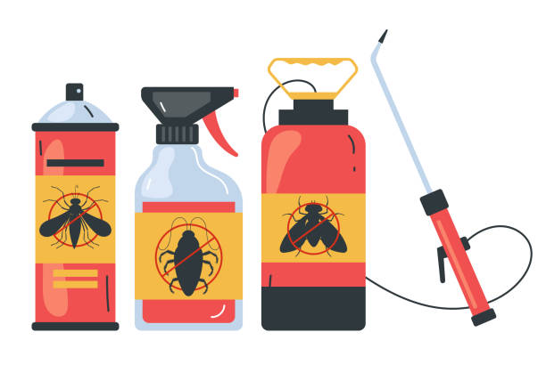 Best Termite Control Services  in Mercer Island, WA