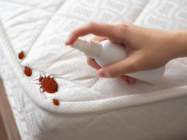 Best Cockroach Control Services  in Mercer Island, WA