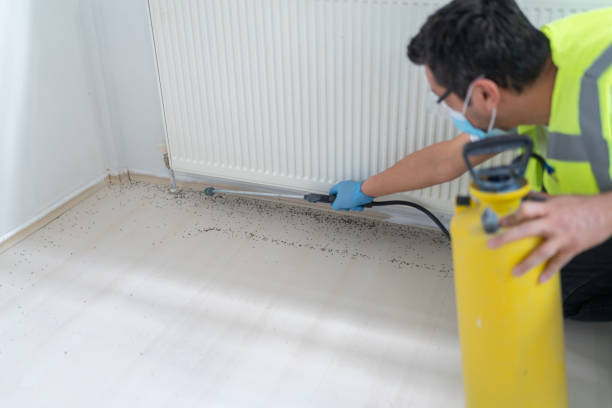 Best Pest Removal Services  in Mercer Island, WA